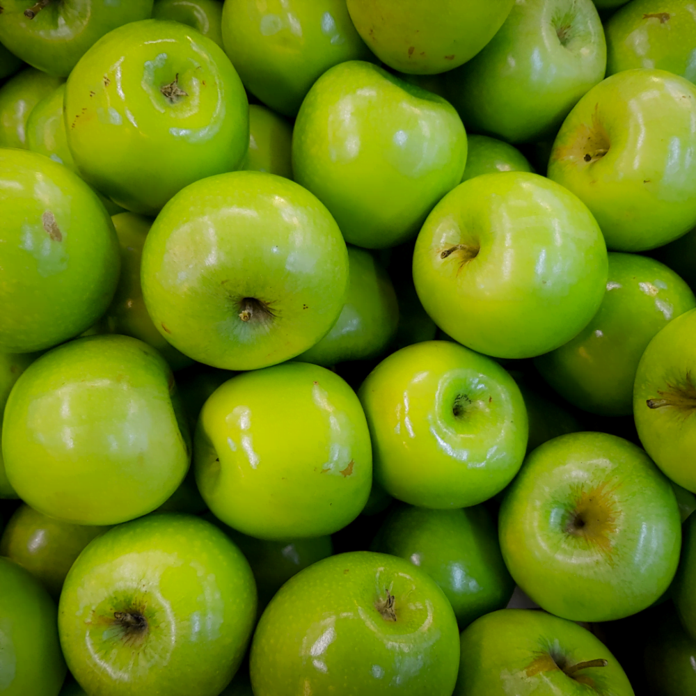 التفاح - عالم النباتات