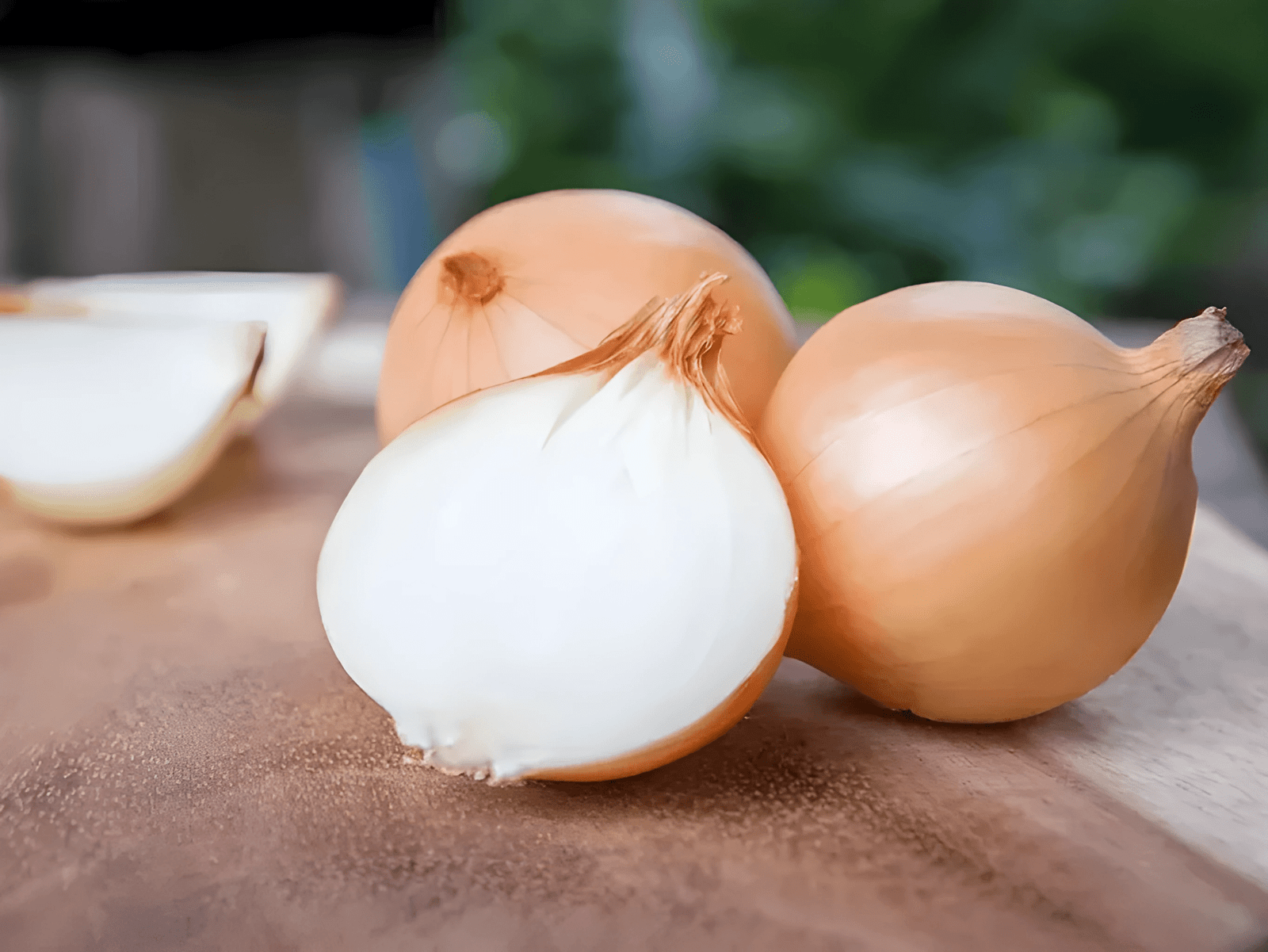 Onions - the world of plants