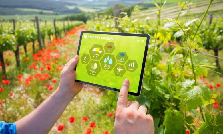 Crop Sensing - The World of Plants - Discover Artificial Intelligence and Agriculture