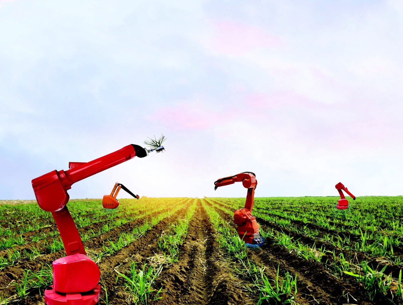 Farming Robots - The World of Plants - Discover Artificial Intelligence and Agriculture