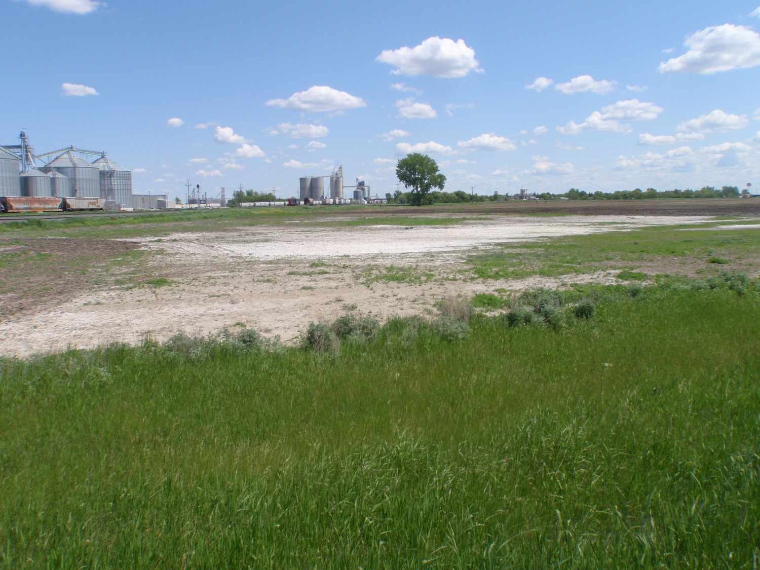 How to Manage Soil Salinity