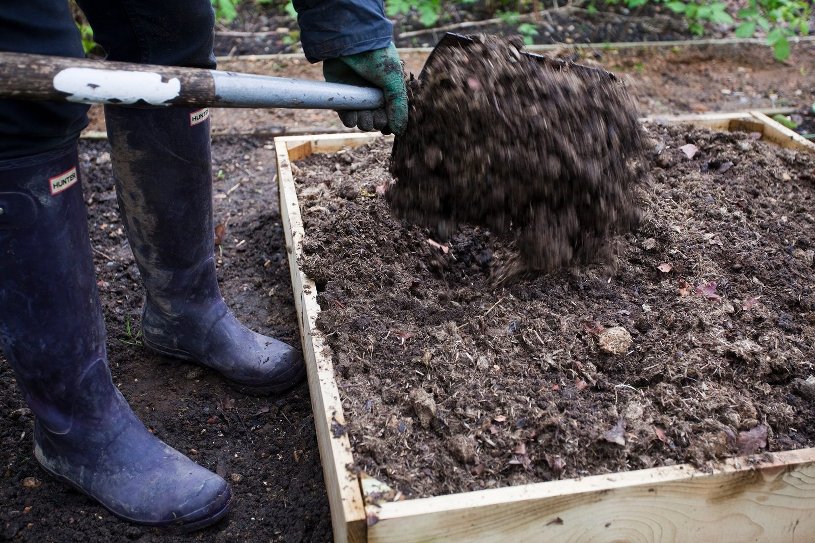 How to use Horse Manure in the Garden | BBC Gardeners World Magazine
