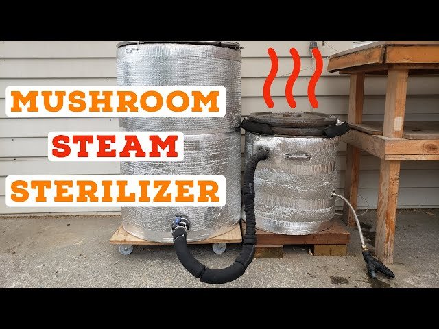 Homemade Steam Generator for Sterilizing Mushroom Substrate - YouTube