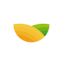 world of plants